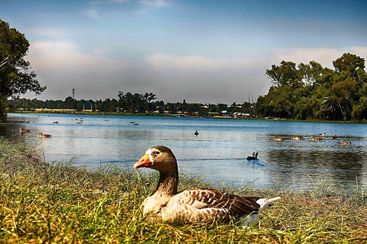 Lakeview Boutique Hotel & Conference Center Benoni Kültér fotó